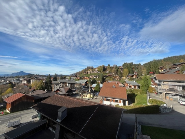 _lv_images__lot_0024308233_12_8349830