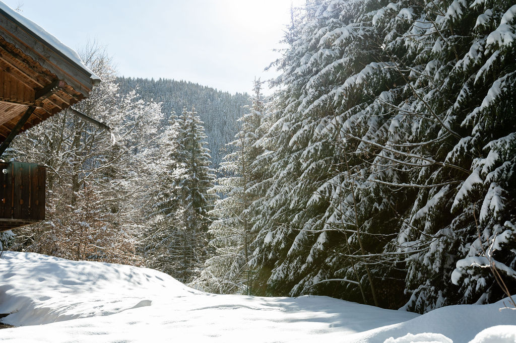 _lv_images__lot_0024308238_10_8348836