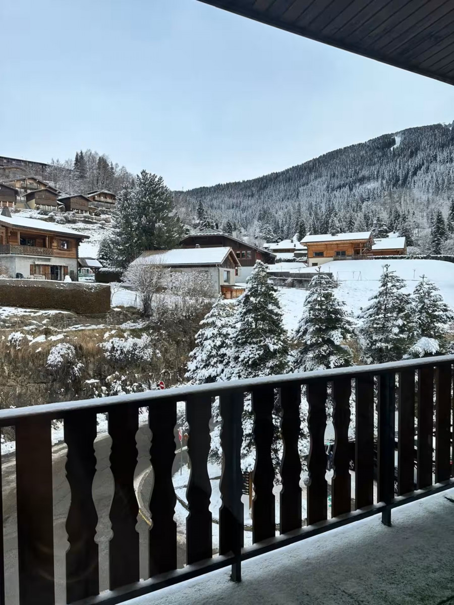 ab70eb16-1962-4bf9-92ce-e9a5183cedf3-8772574