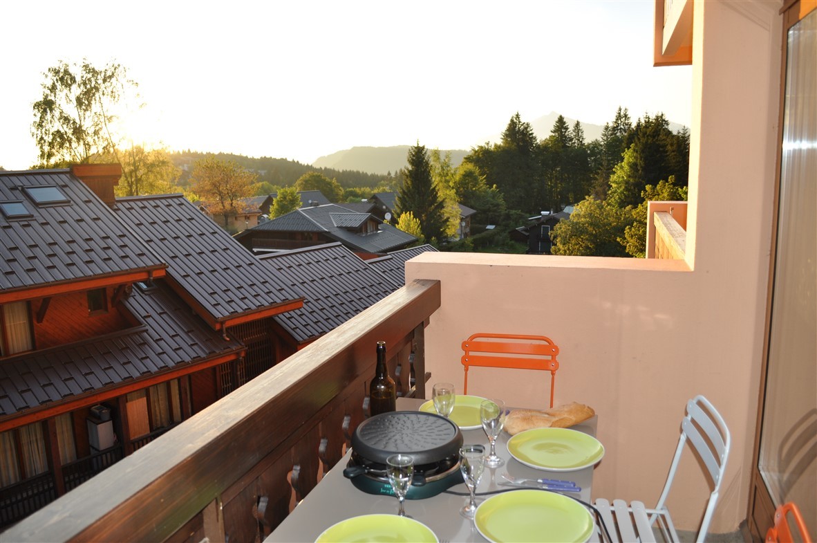 balcon-grands-vans-les-carroz-2895643