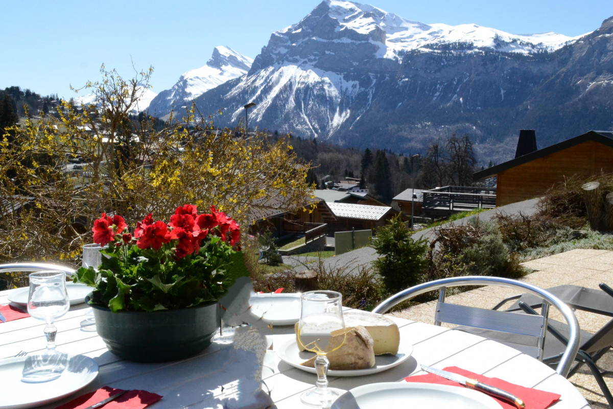 chalet-adret-les-carroz-les-marmottes-terrasse-bb-6965757