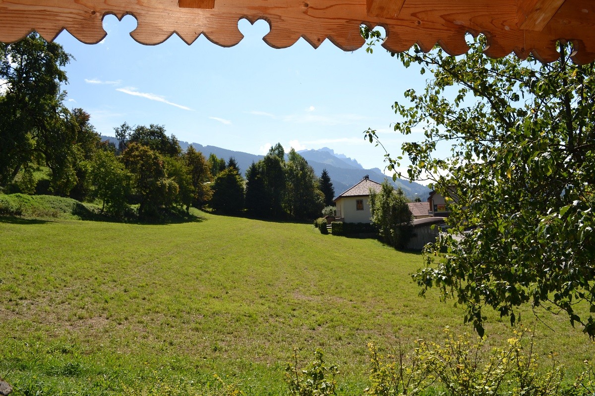 dsc-0157-3859054