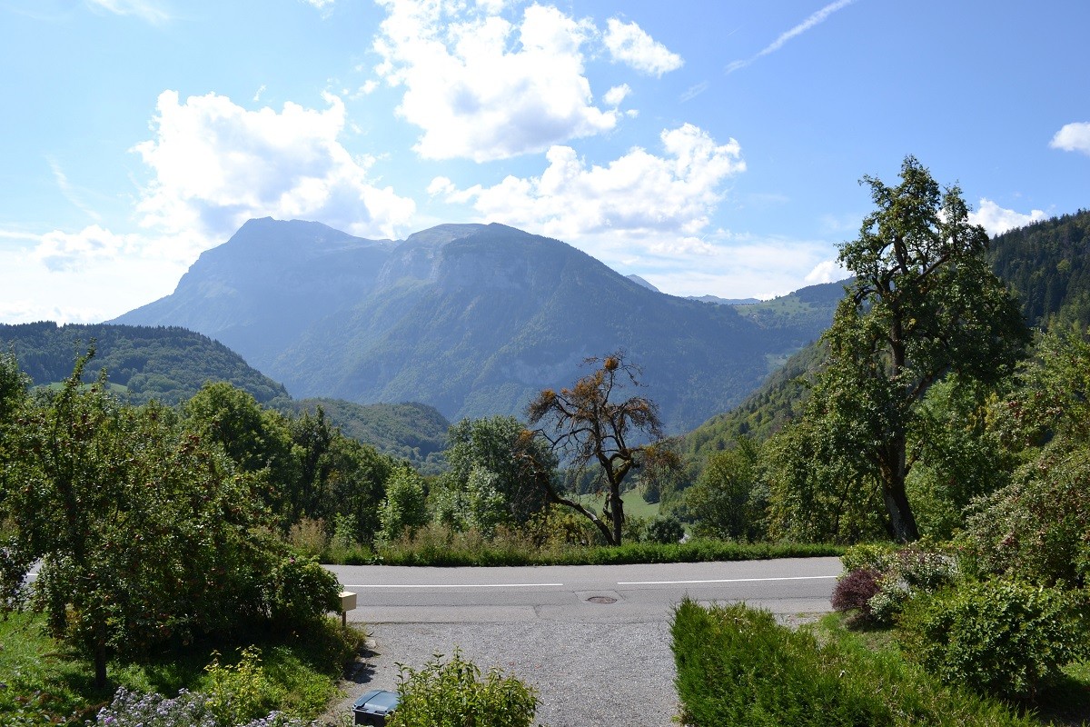 dsc-0167-3859062