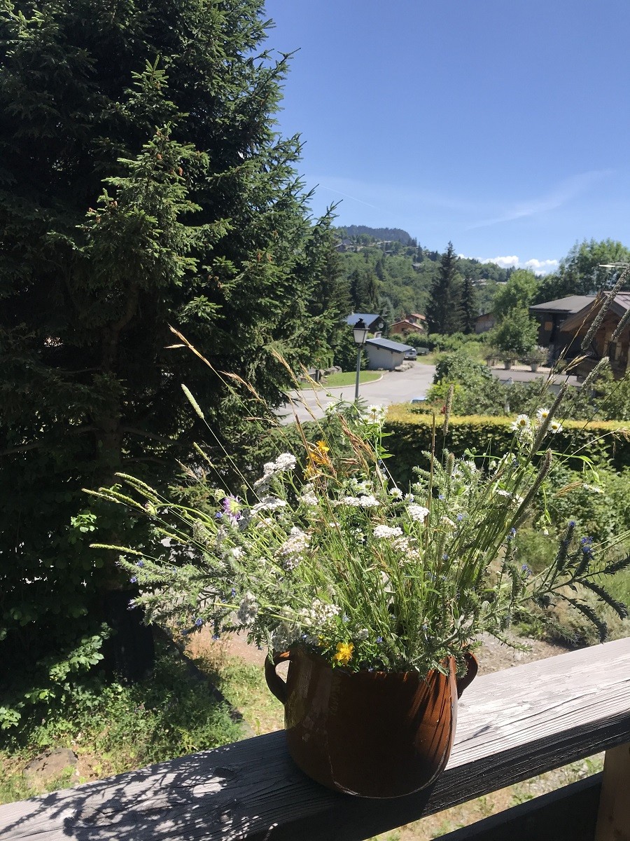 fleurs-des-champs-sur-la-rampe-du-balcon-appt-de-gauche-6061292