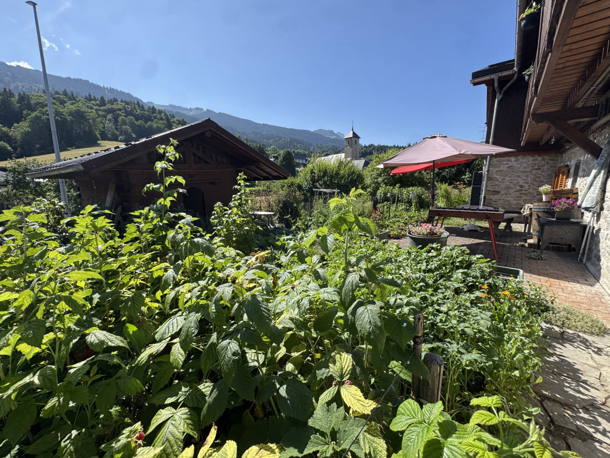 img-2388-8240293