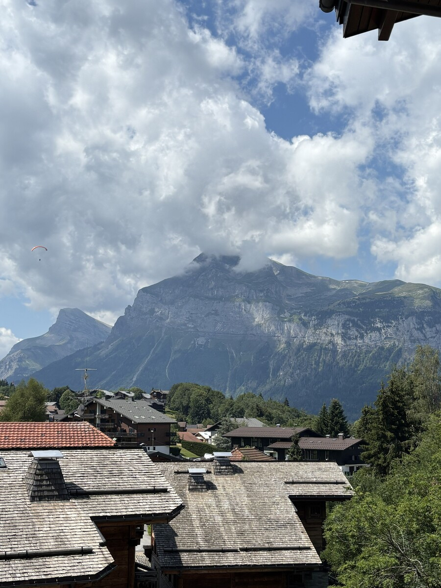 img-4220-9167857 img-4220-9167857