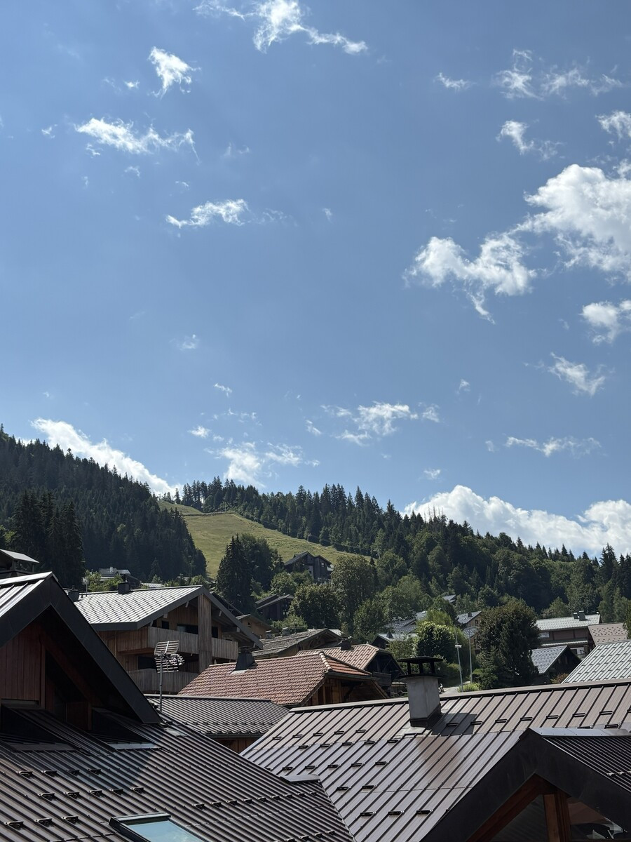 img-4221-9167858 img-4221-9167858