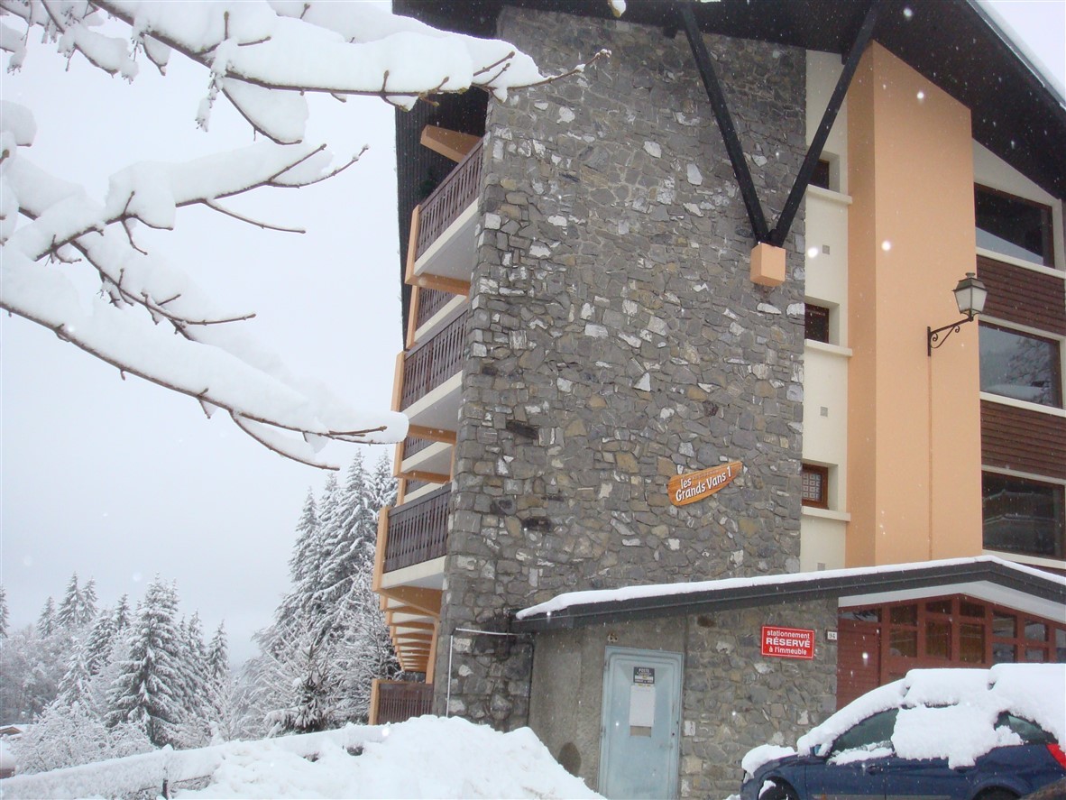 immeuble-grands-vans-les-carroz-2895641
