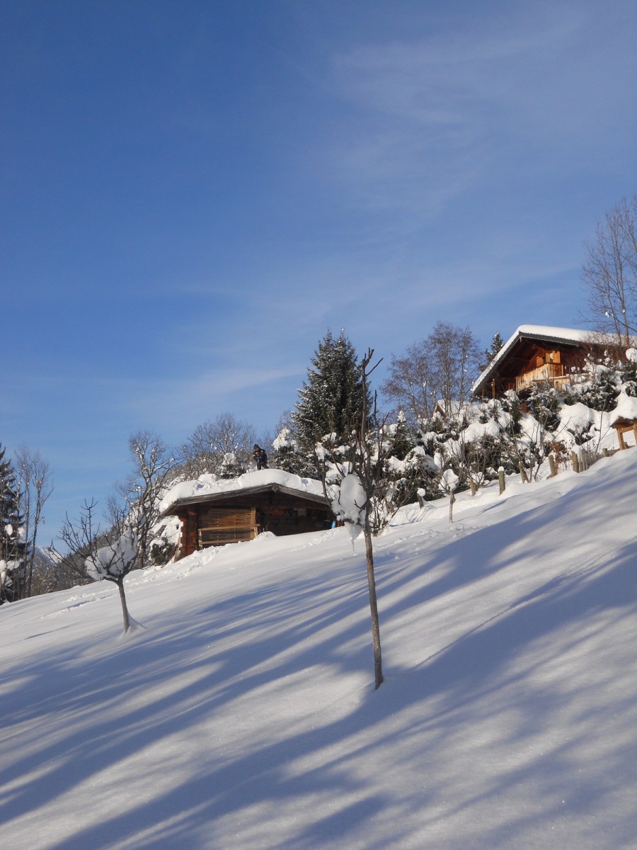 jardin-3906415