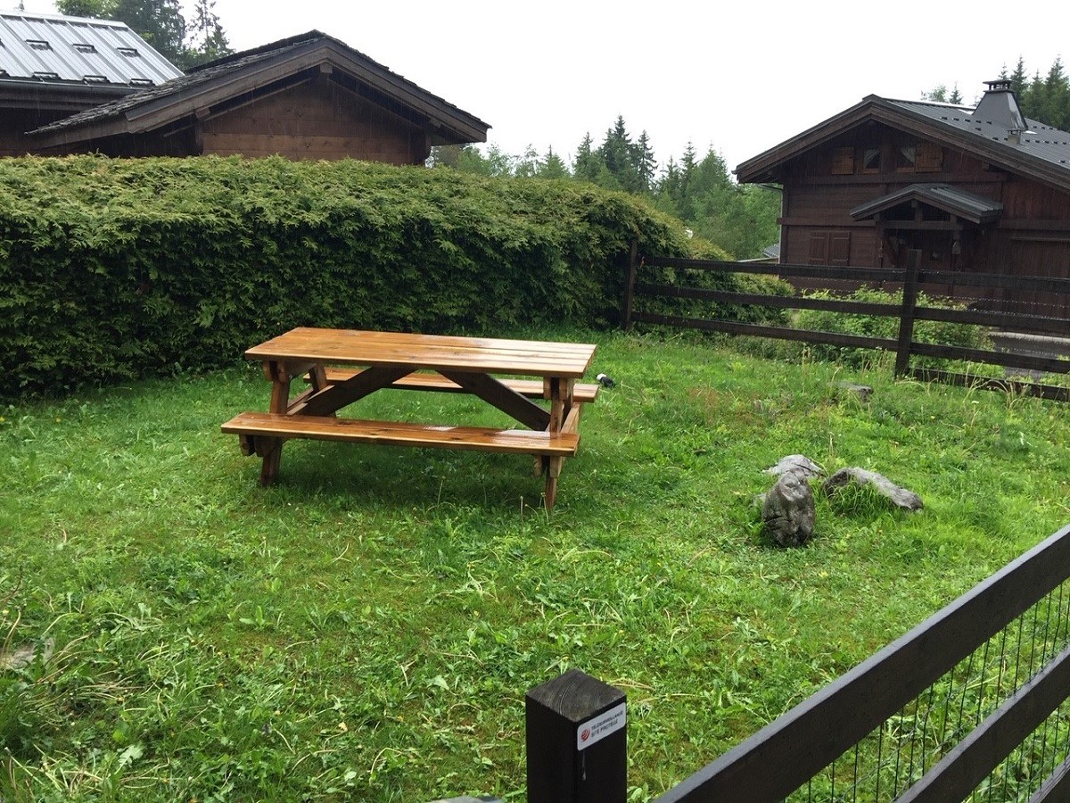 jardin-5892615