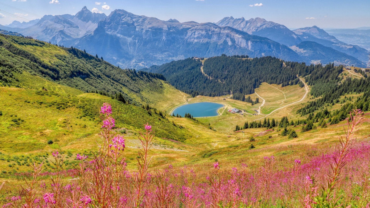 lescarroz-ete22-bouilleurdephoto-hd-47-1920x1080-9178758 lescarroz-ete22-bouilleurdephoto-hd-47-1920x1080-9178758