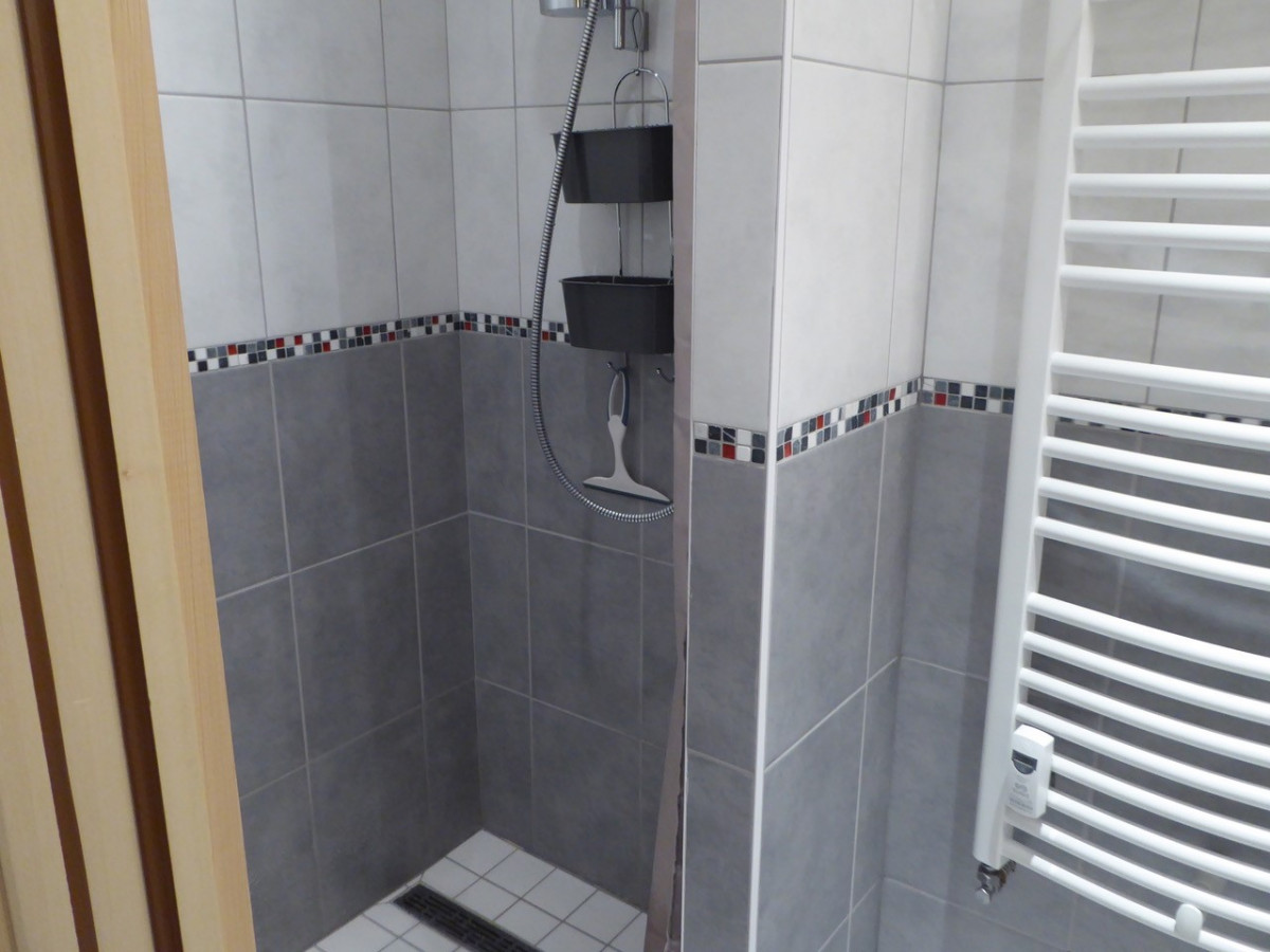 location-les-carroz-studio-4-personnes-le-varan-3-9254257 location-les-carroz-studio-4-personnes-le-varan-3-9254257