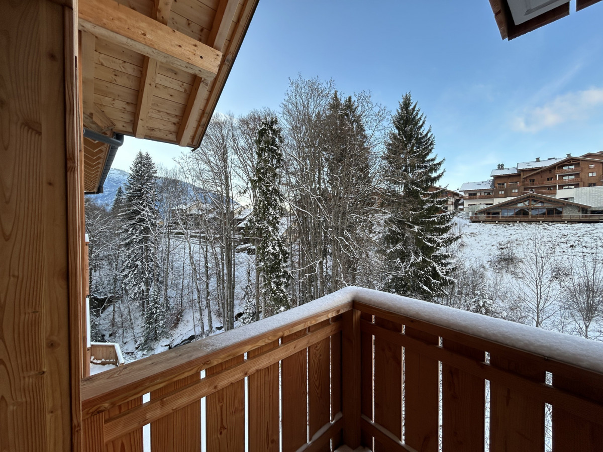 photos-carroz-novembre-2025-41-8629989