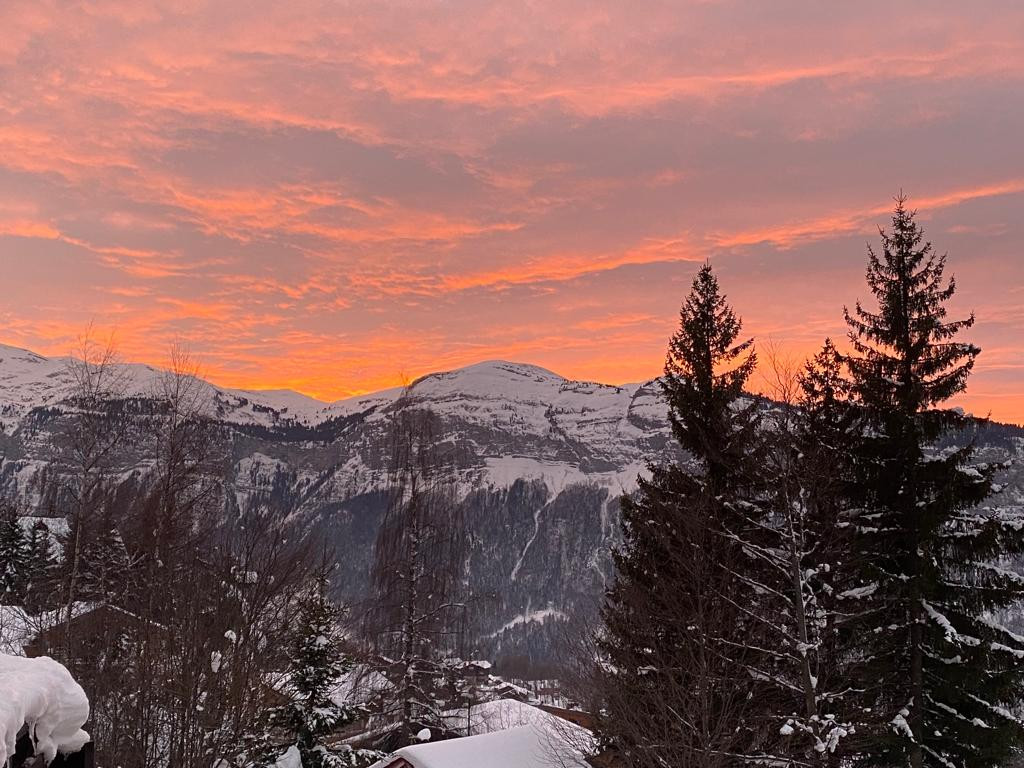 sunset-from-balcony-6896358