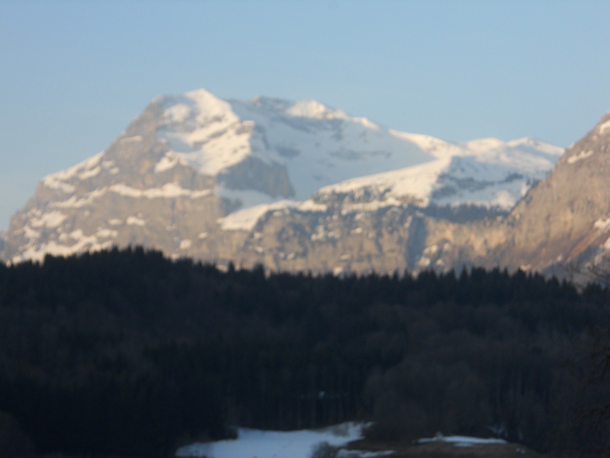 vue-3906419