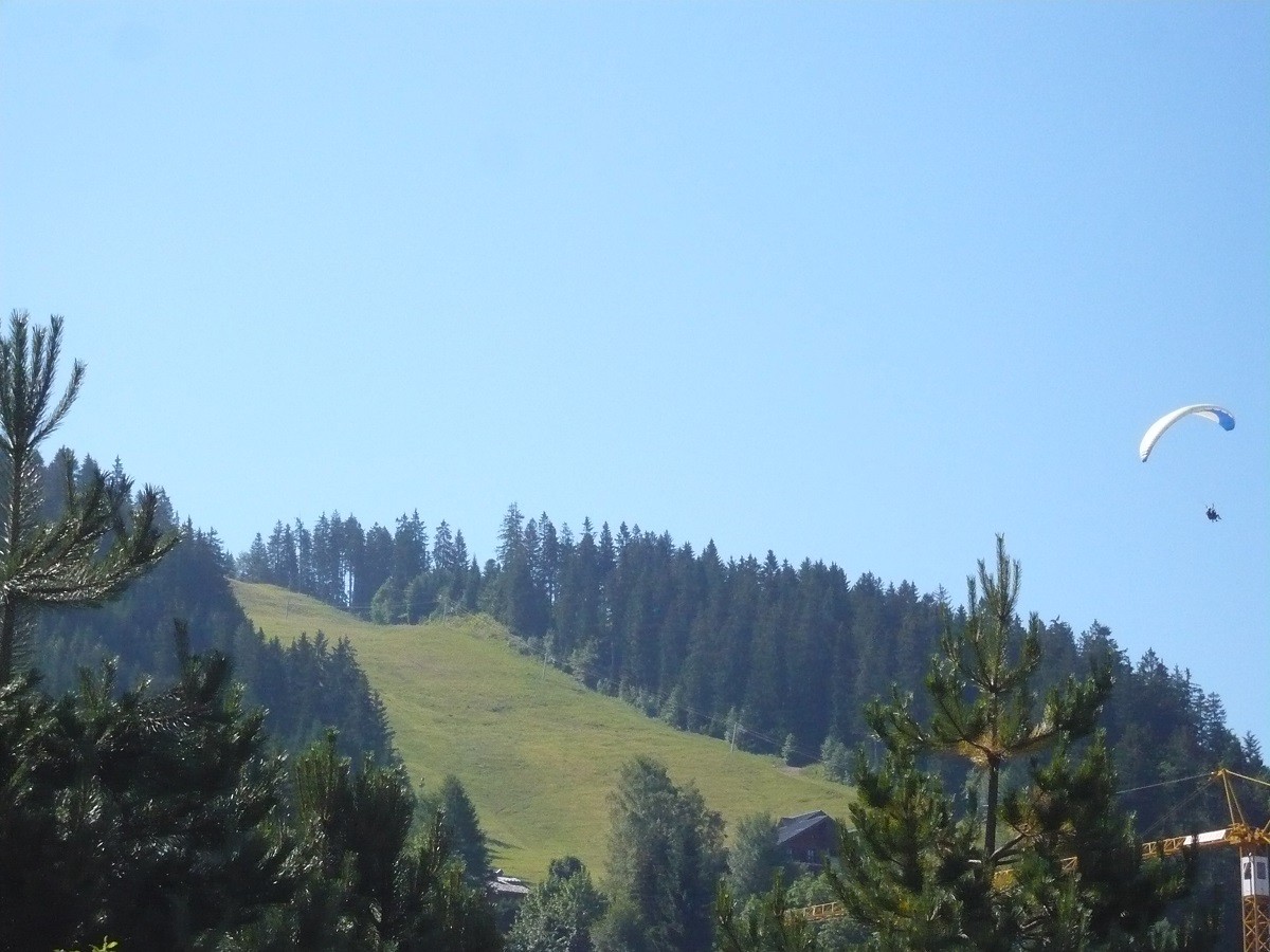 vue-5844466