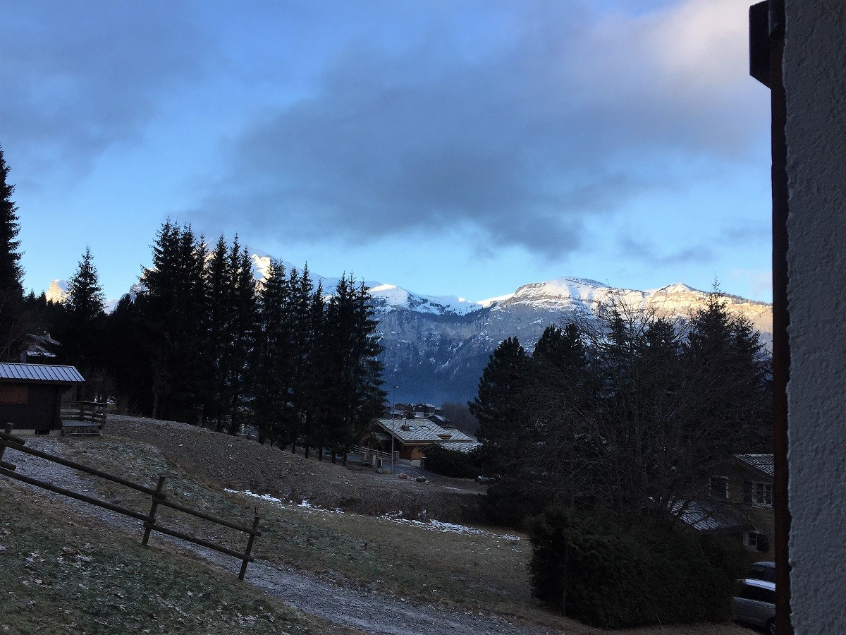 vue-balcon-4254131