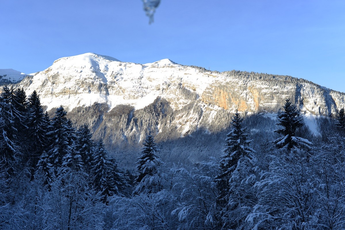 vue-chalet-sur-aravis-4162382