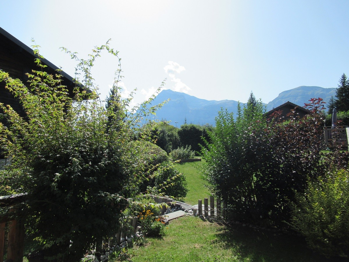 vue-jardin-5376538