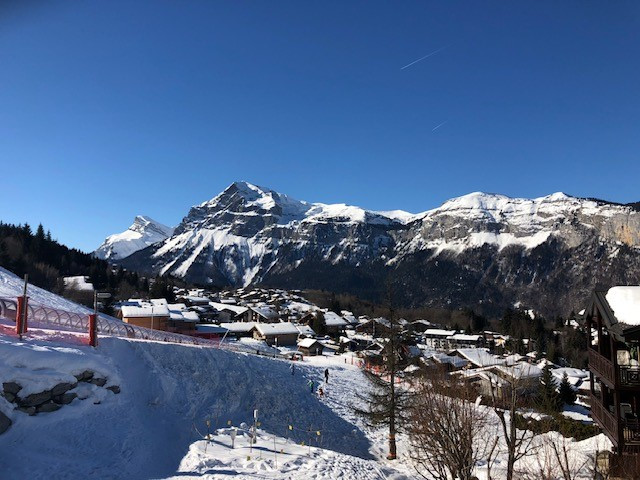 vue-montagne-du-balcon-8805987