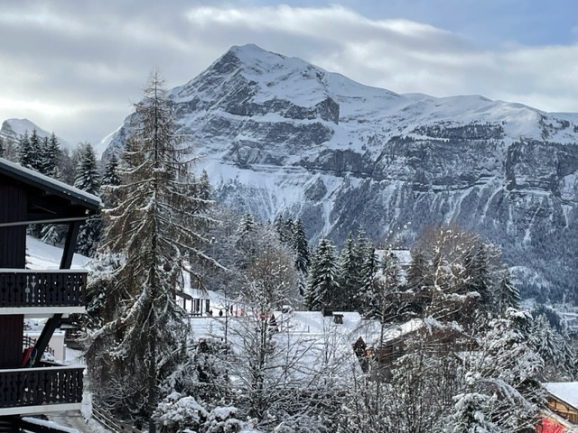 winterbalcony-6896359