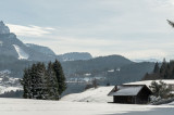 _lv_images__lot_0010461403_10_8349359