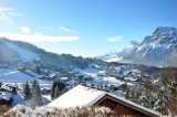 _lv_images__lot_0010773083_10_8105027
