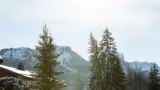 _lv_images__lot_0024308214_09_8284676