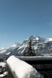 _lv_images__lot_0024308214_10_8284677