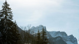 _lv_images__lot_0024308224_10_8104520