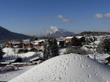 _lv_images__lot_0024308233_15_8184091