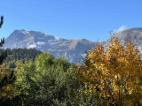 _lv_images__lot_0024308236_13_8104755