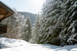_lv_images__lot_0024308238_10_8269897