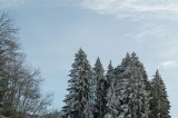 _lv_images__lot_0024308247_06_8297102