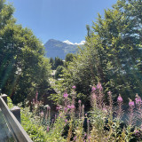 img-0015-8319311