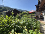 img-2388-8240293