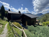 img-2664-8334556