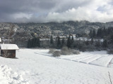img-5023-6369771