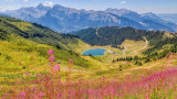 lescarroz-ete22-bouilleurdephoto-hd-47-1920x1080-9178758
