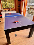 ping-pong-7736580