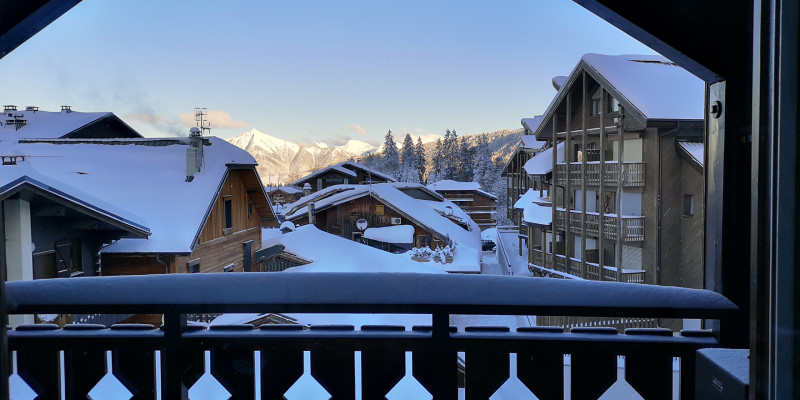 IMG_20241224_0937492 IMG_20241224_0937492