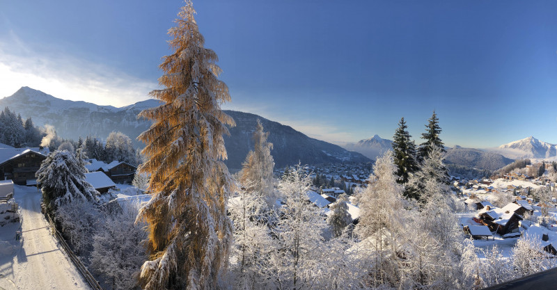 23-vue-1-min-6583833