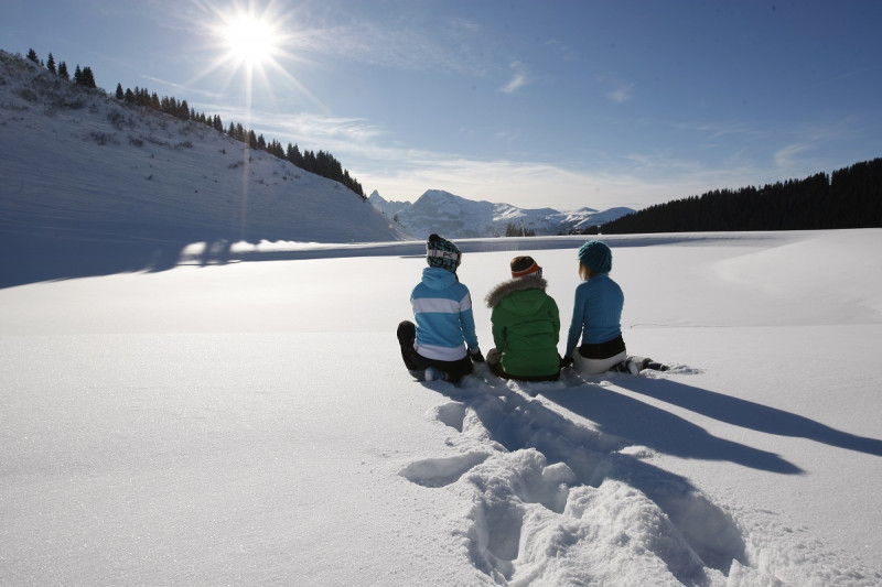 907-carrozh09-422-8579168 907-carrozh09-422-8579168