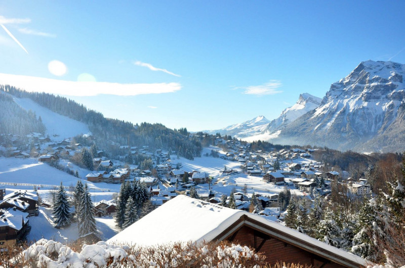 _clients_227430004_photos_107j_9196496 _clients_227430004_photos_107j_9196496