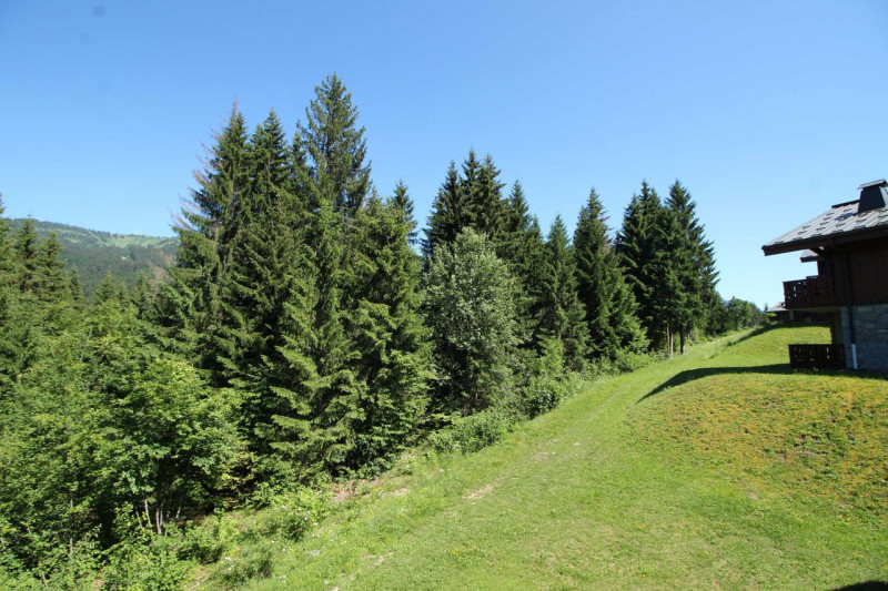 _clients_227430004_photos_108f_8752563