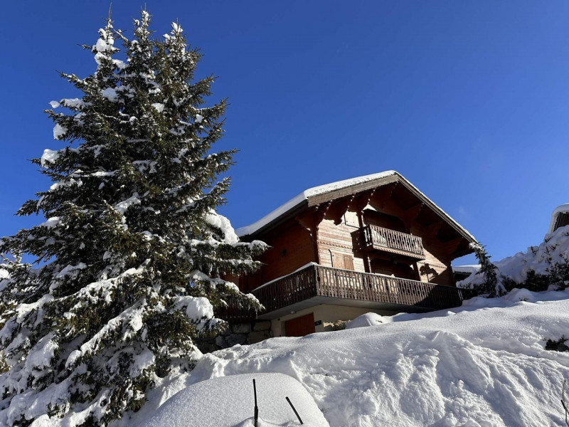 _clients_227430004_photos_118m_9234508