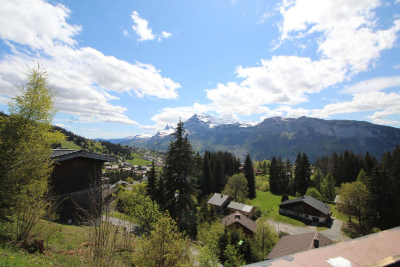 _clients_227430004_photos_119l_8957997