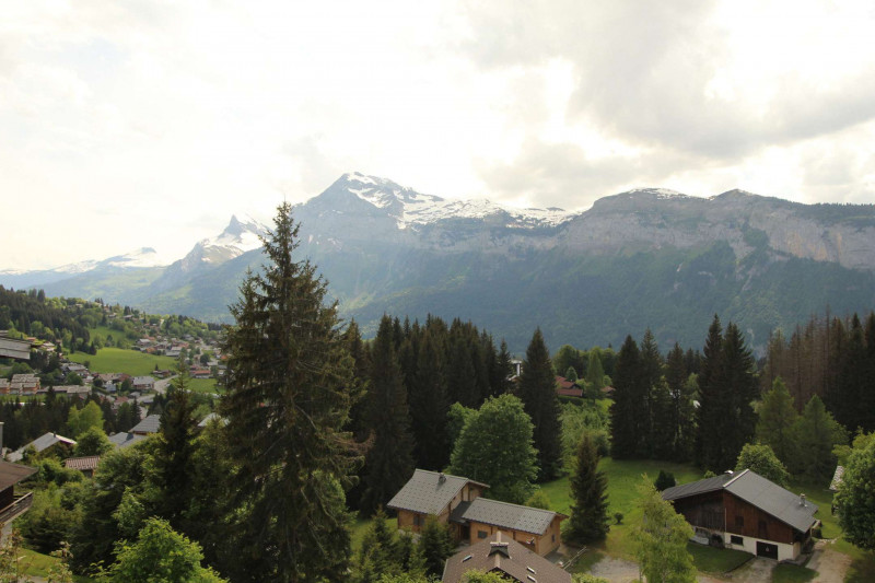 _clients_227430004_photos_119m_8875576