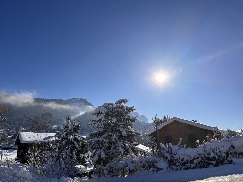 _clients_227430004_photos_120n_8609542 _clients_227430004_photos_120n_8609542