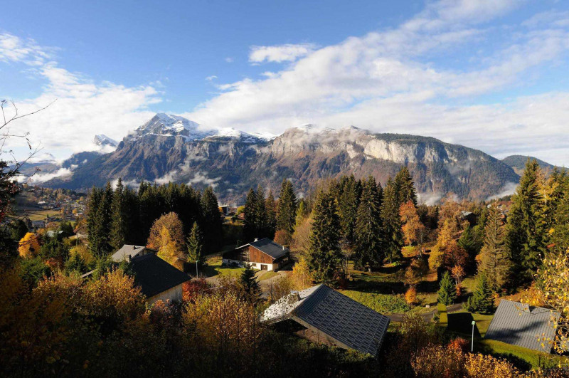 _clients_227430004_photos_125k_8604432 _clients_227430004_photos_125k_8604432